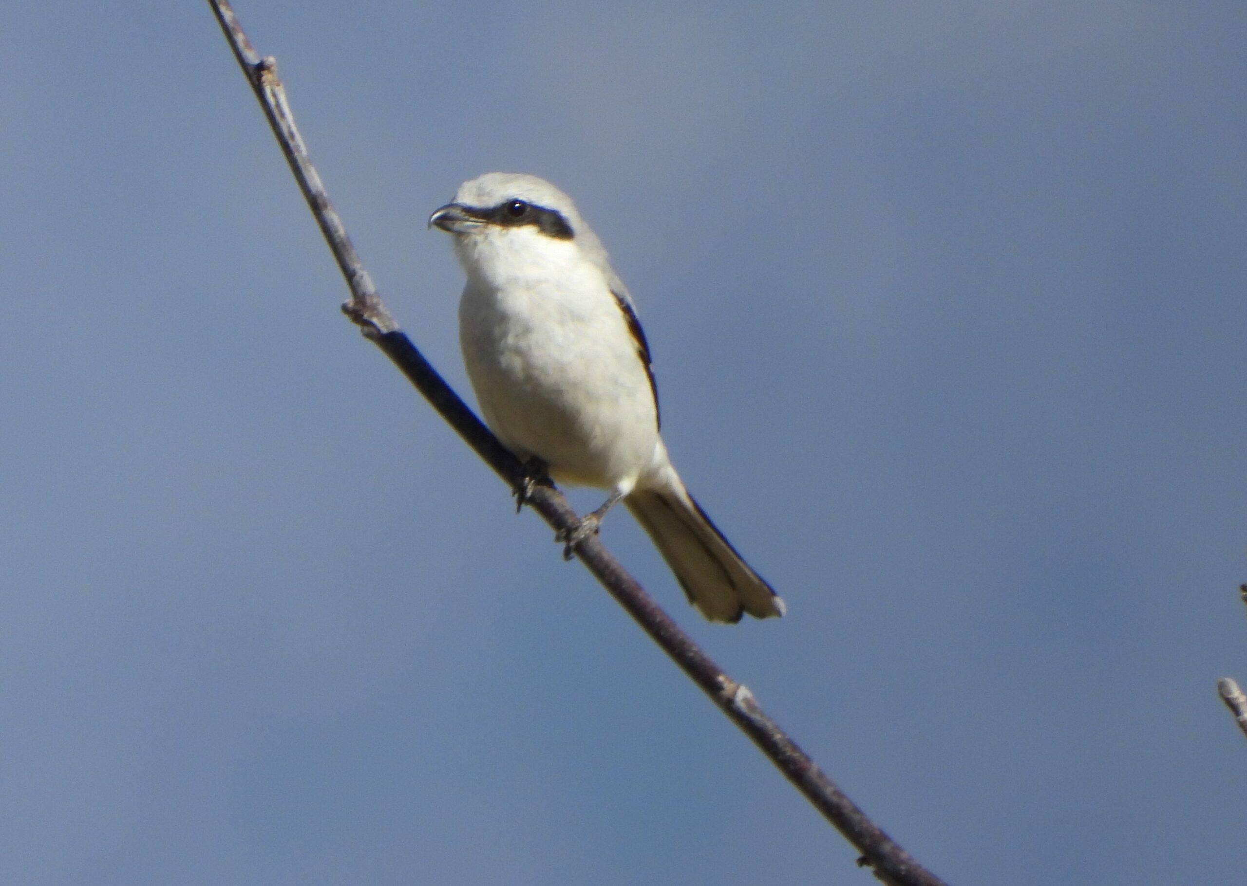 Foto di: Tiziano Beretti