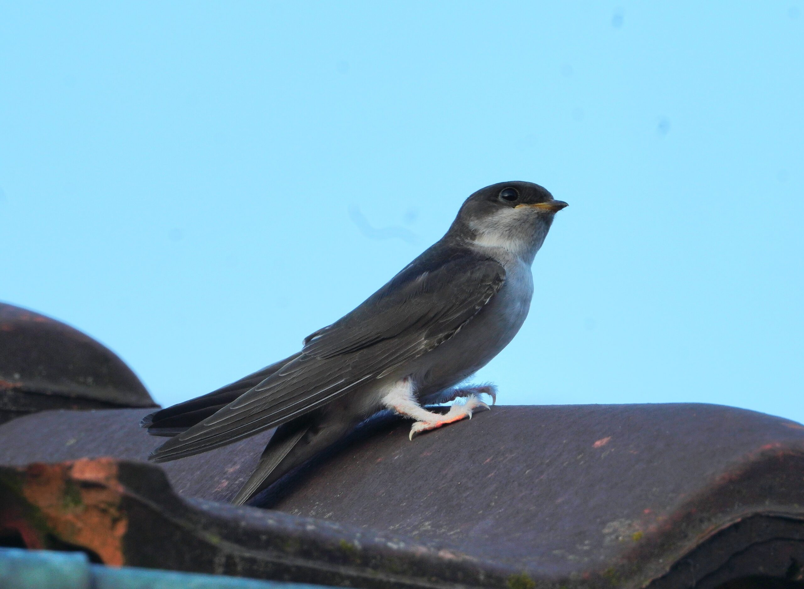 Foto di: Simona Bassi