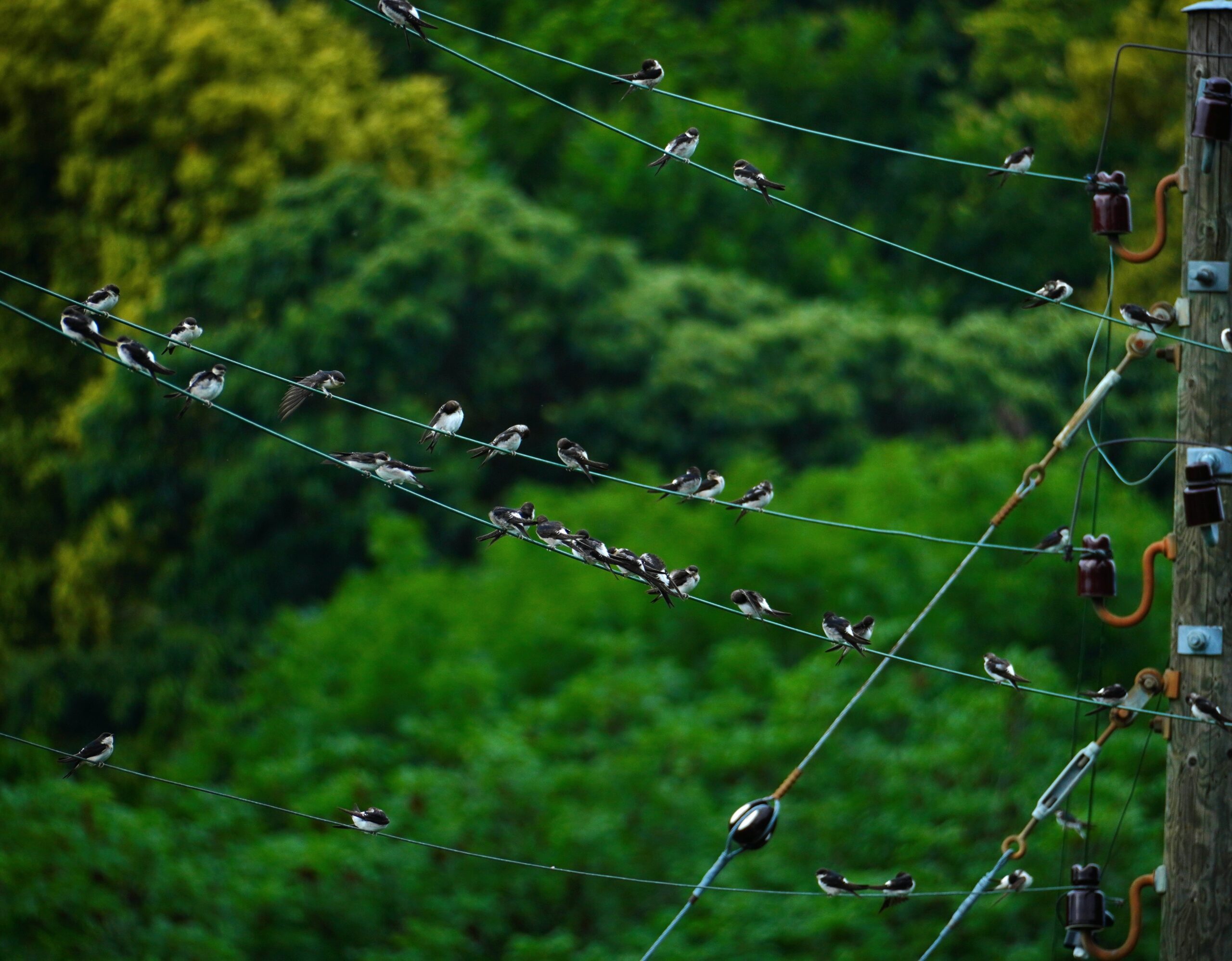 Foto di: Simona Bassi