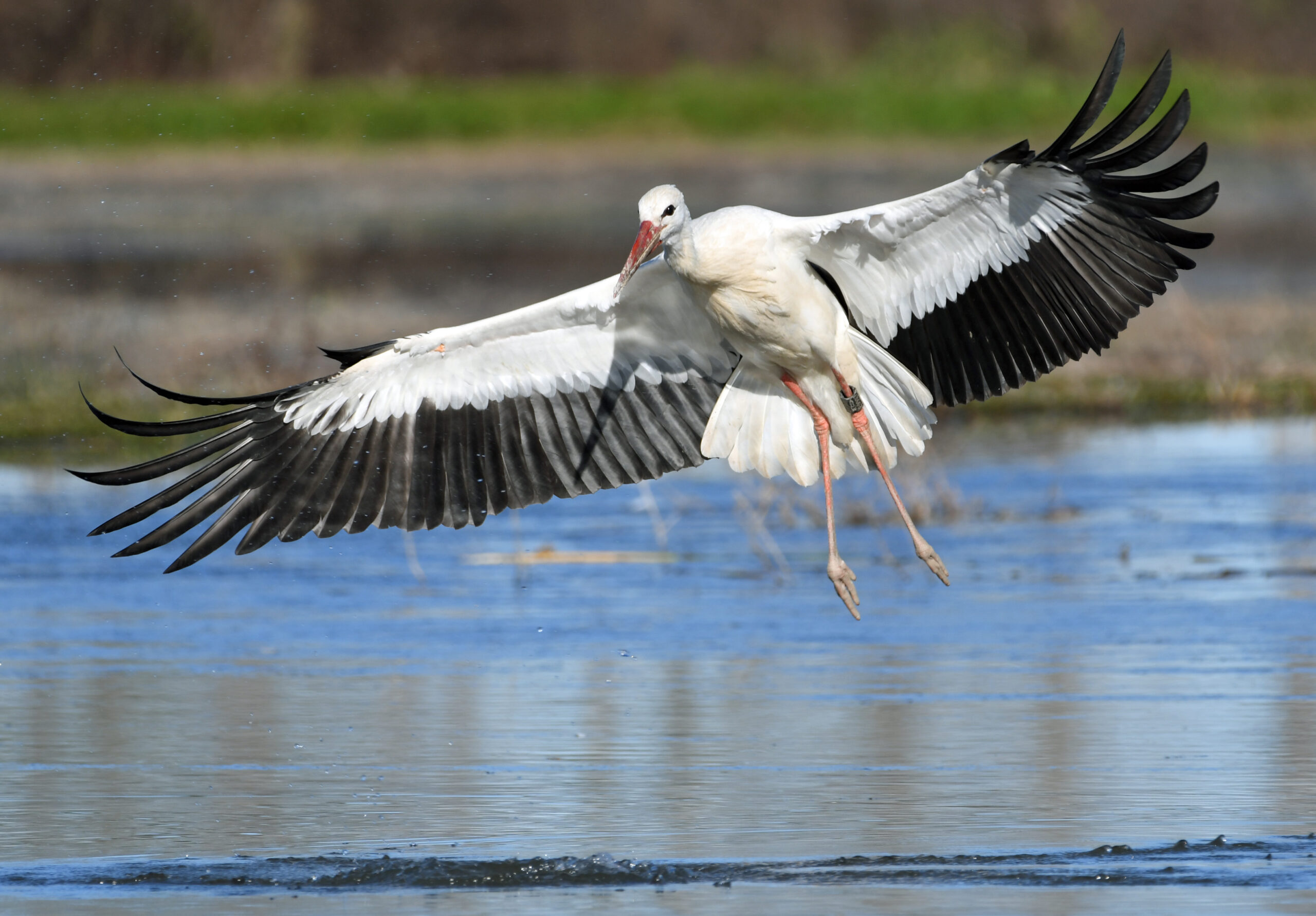 Foto di: Davide Magnaghi