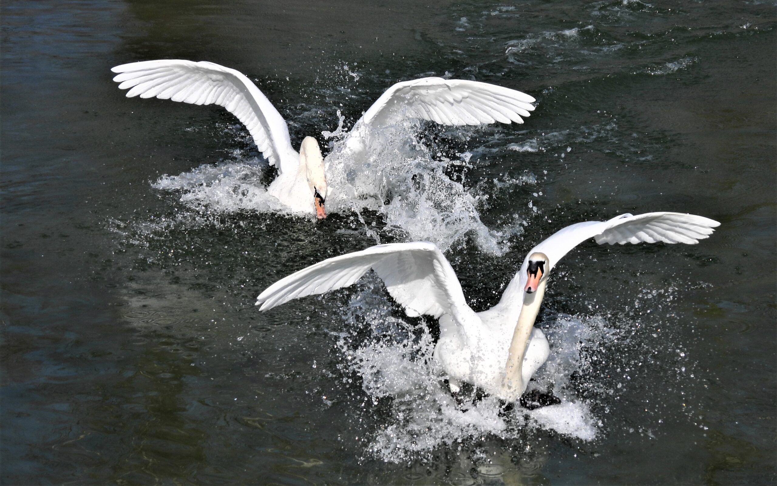 Foto di: Lucia Mattei