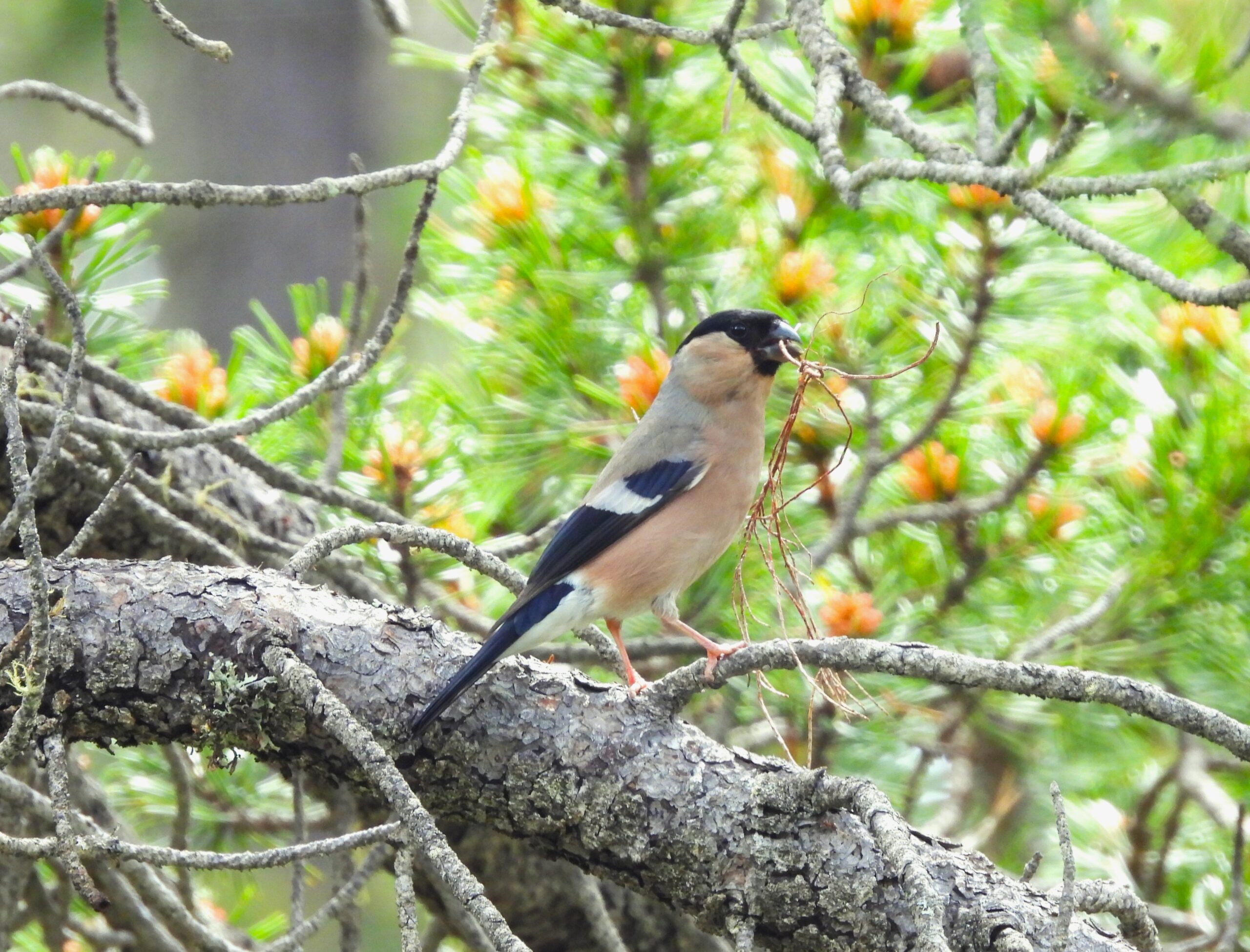Foto di: Lucia Mattei