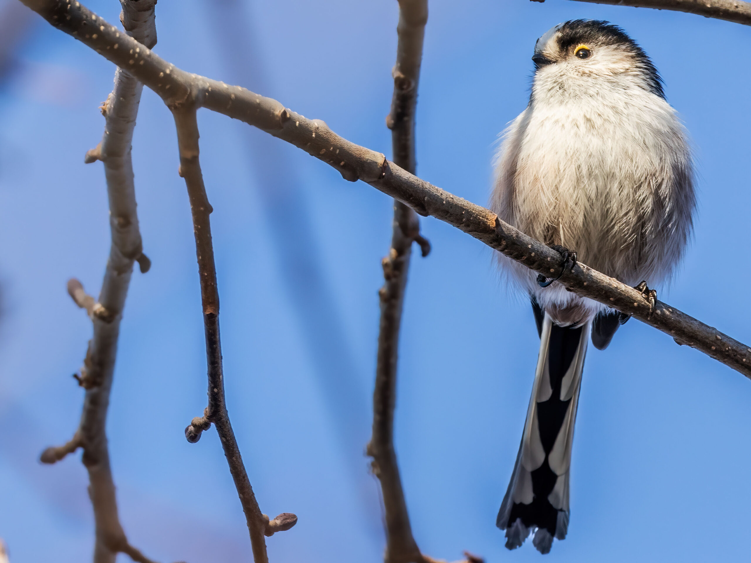 Foto di: Jeannine Zimmermann