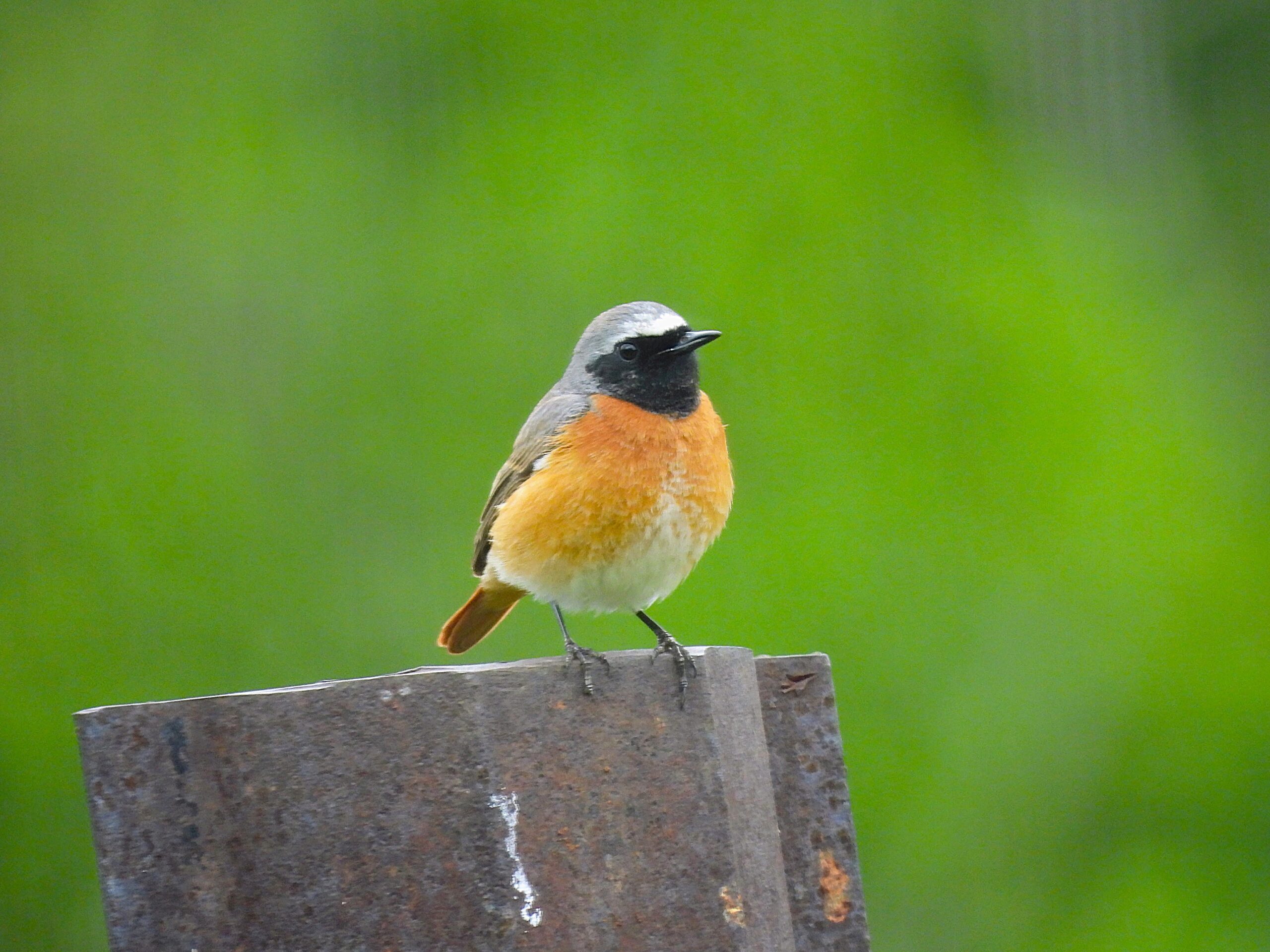 Foto di: Serena Poloni