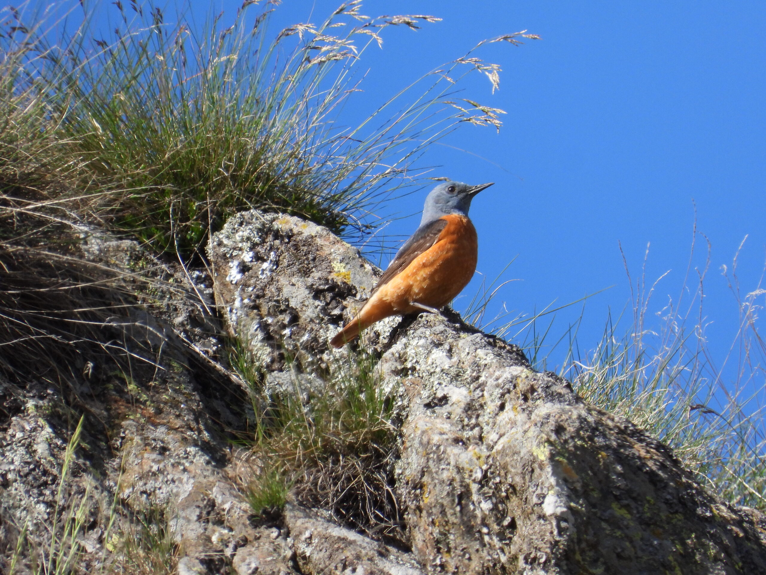 Foto di: Mauro Storni