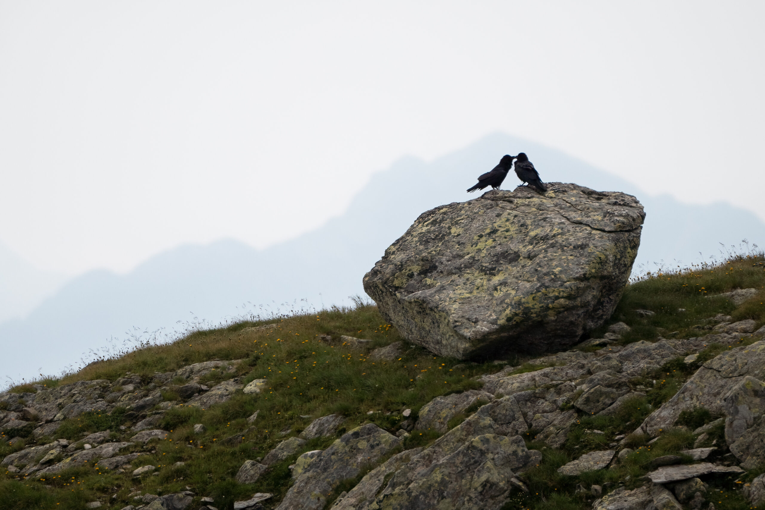 Foto di: Nicola Pini