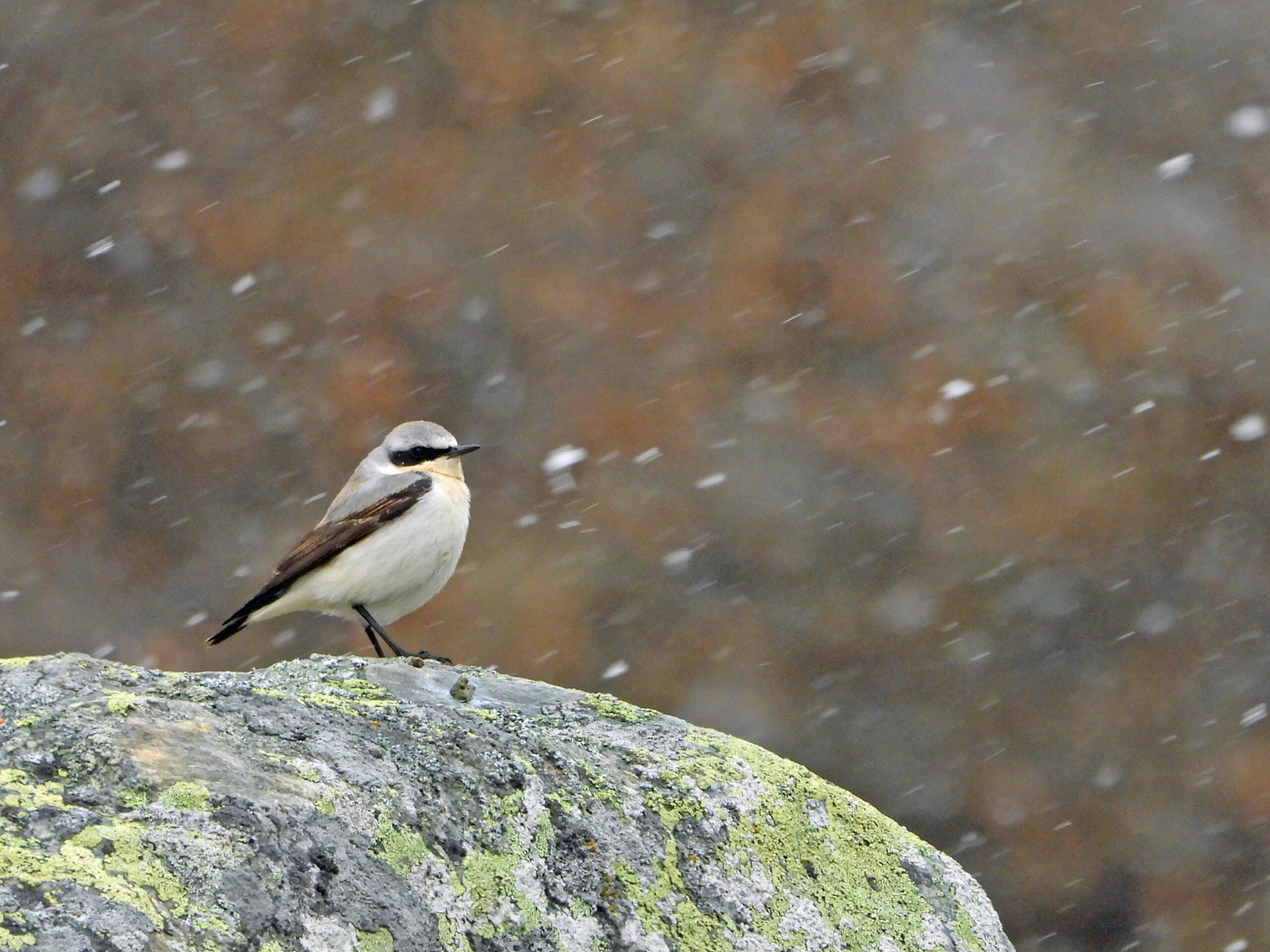 Foto di: Davide Magnaghi