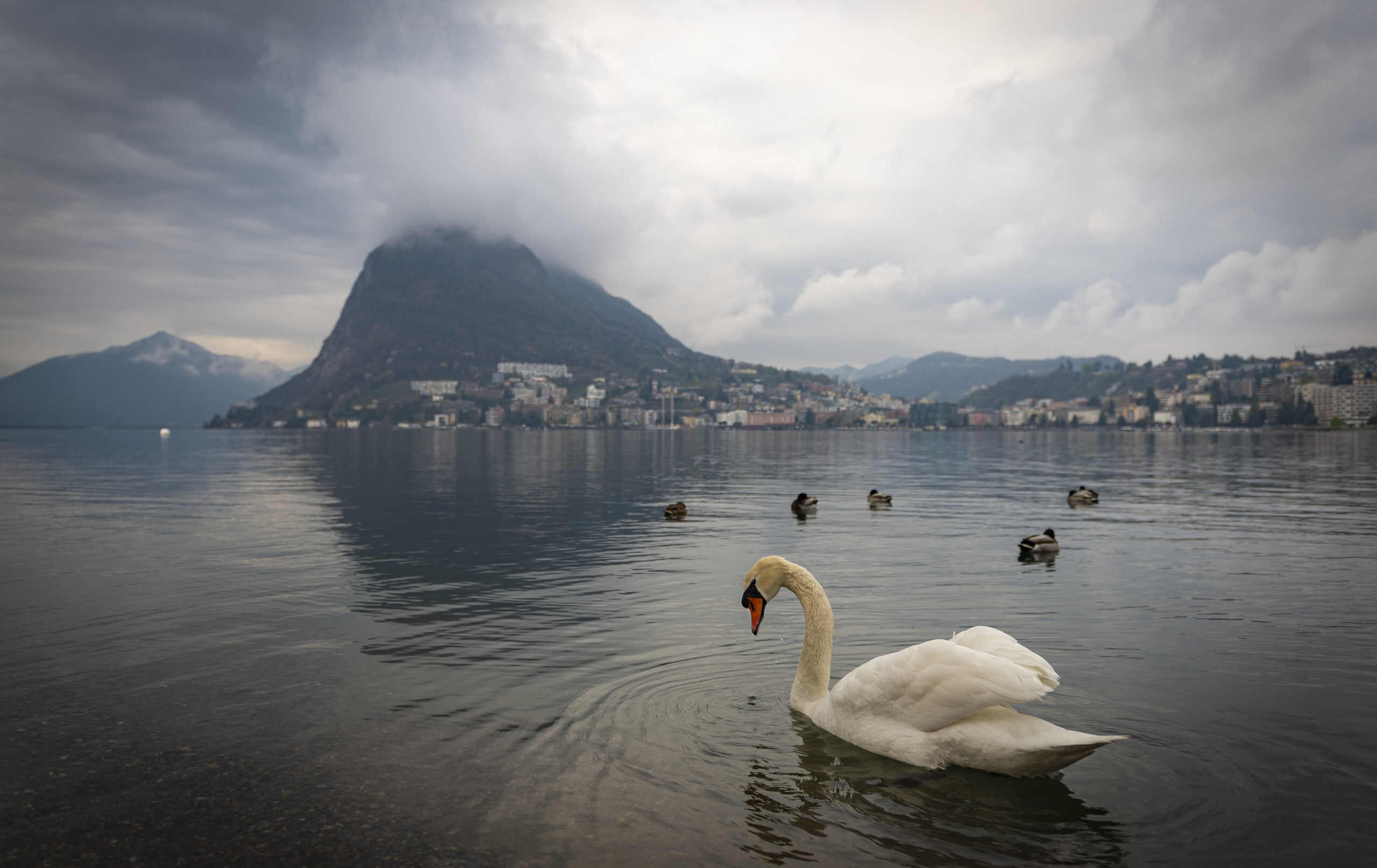 Foto di: Davide Nonini