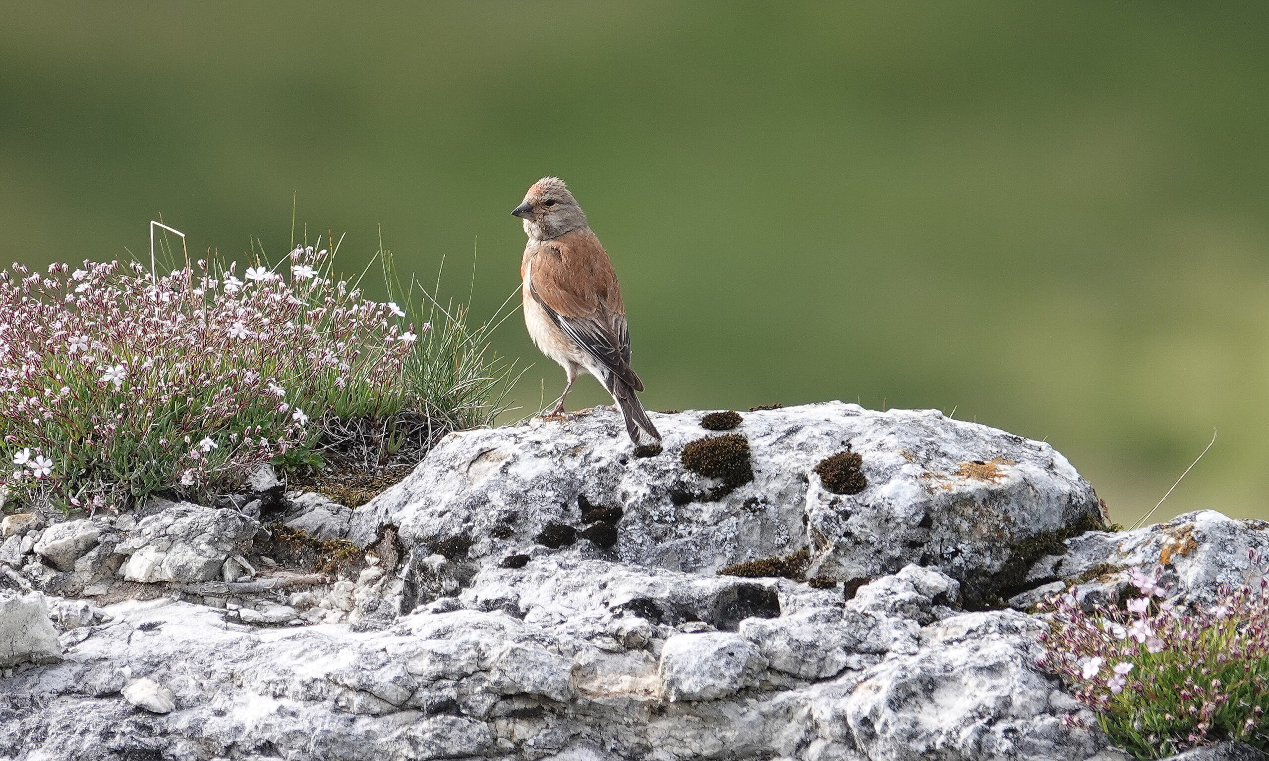 Foto di: Daisy Patritti