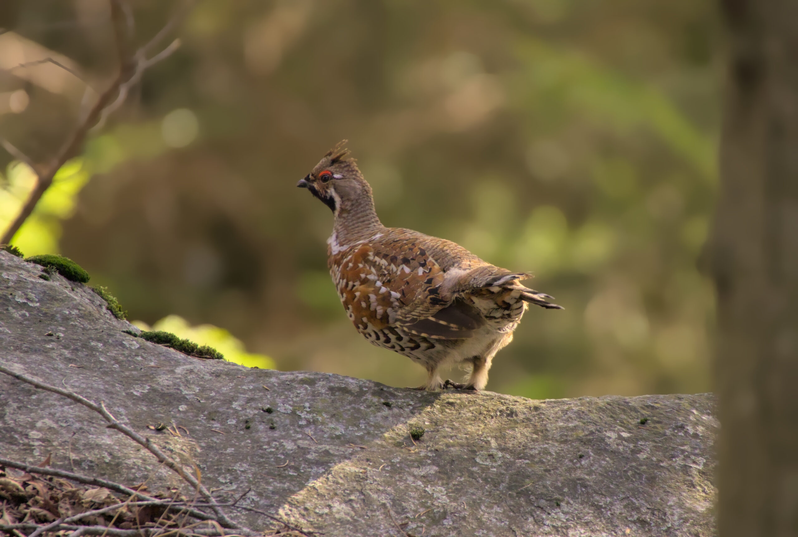 Foto di: Stefano Gonzalez