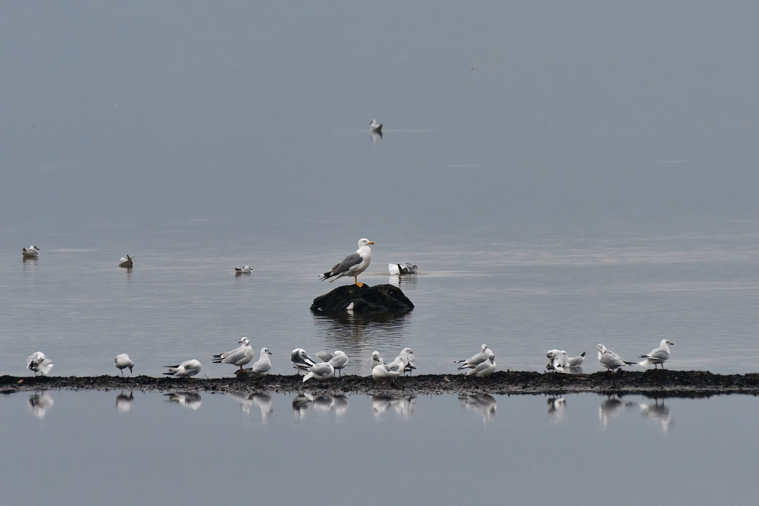 Foto di: Diana Sauer