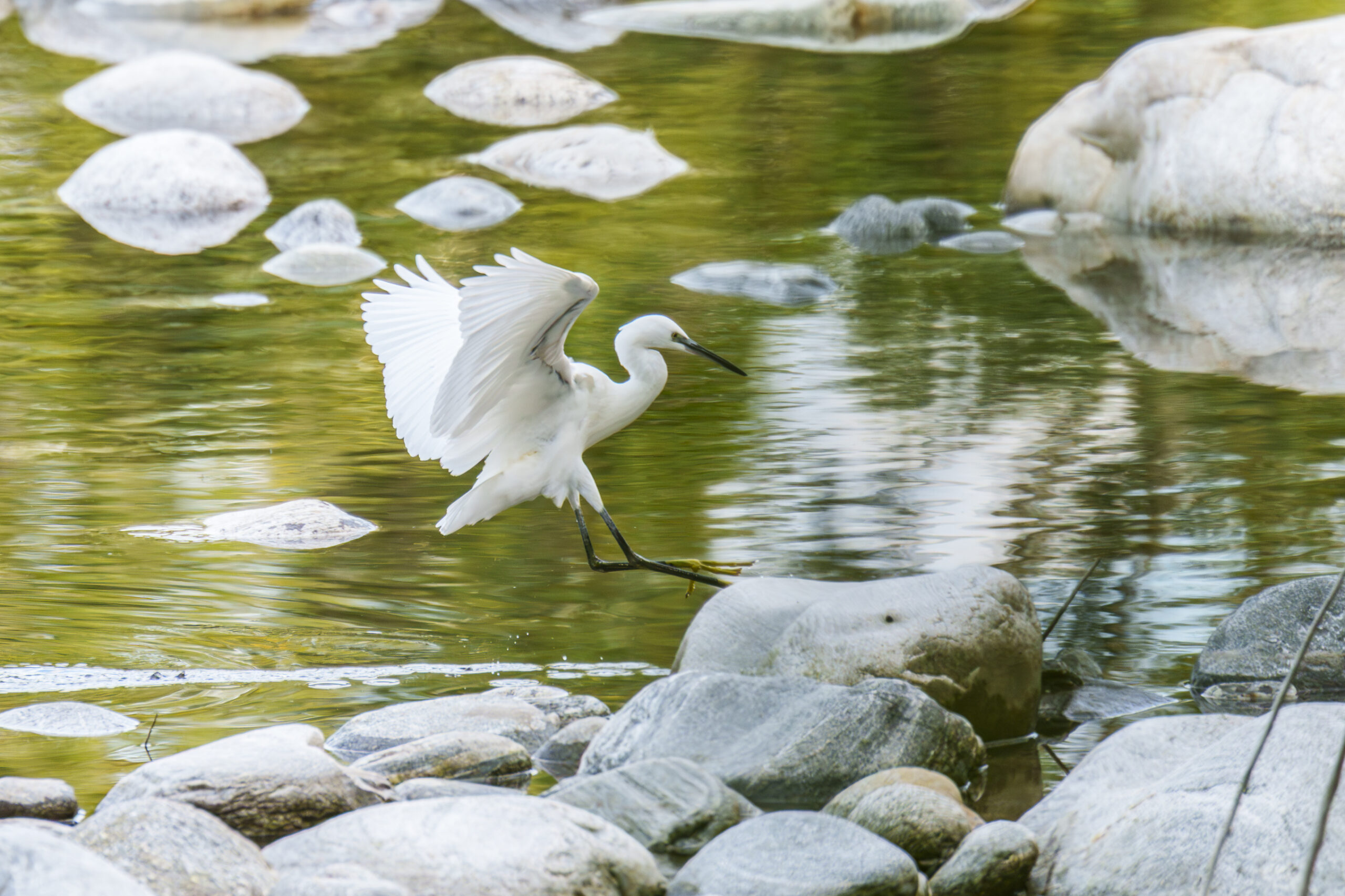 Foto di: Bruno Zahnd