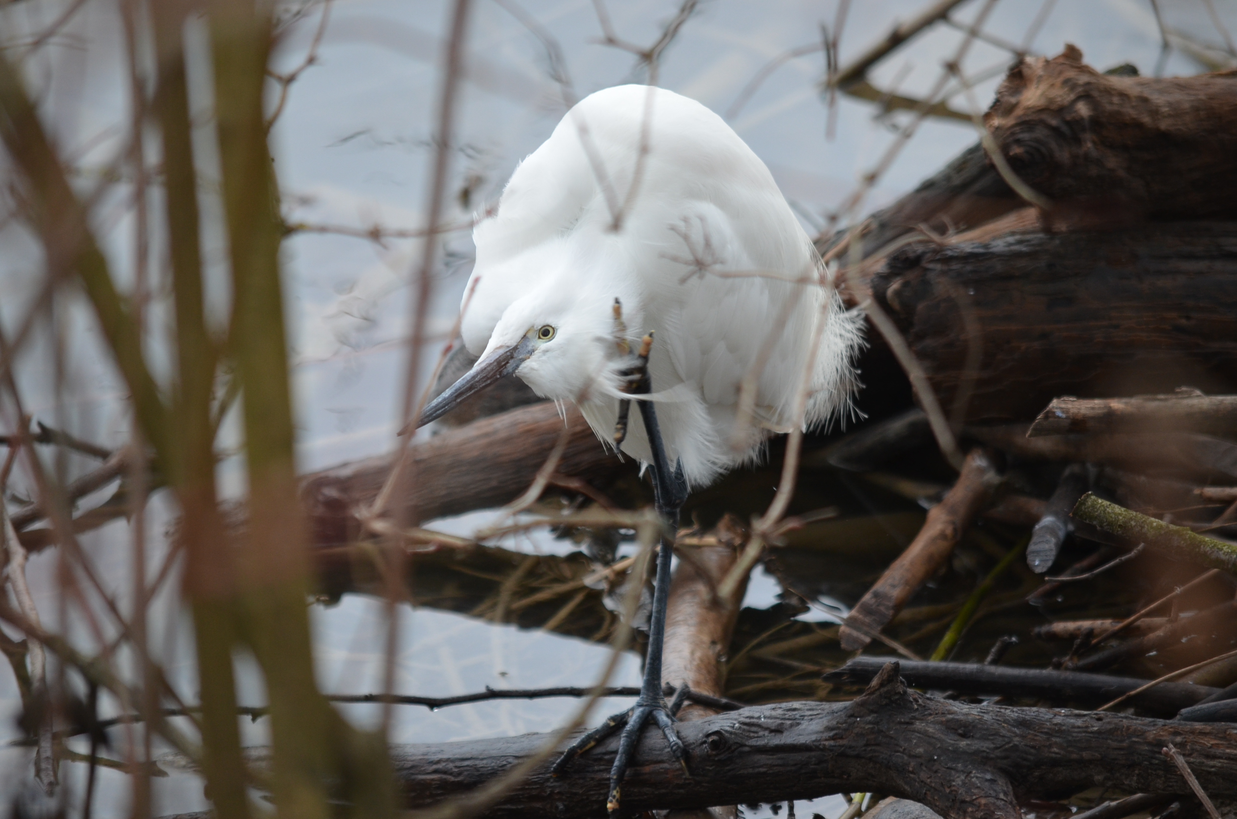 Foto di: Luca Realini