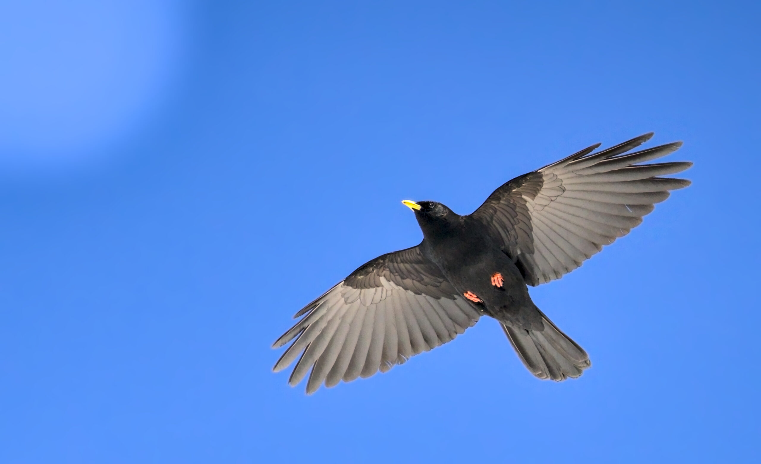 Foto di: Stefano Gonzalez