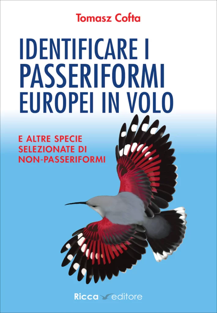 Identificare i passeriformi europei in volo