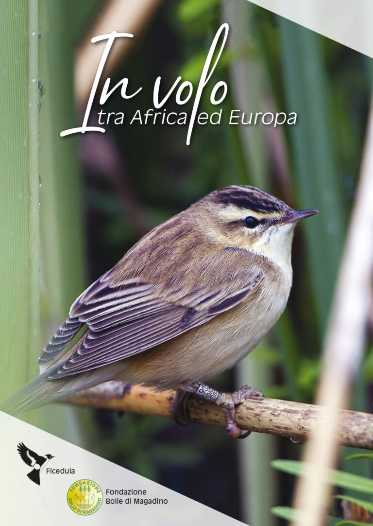 In volo tra Africa ed Europa