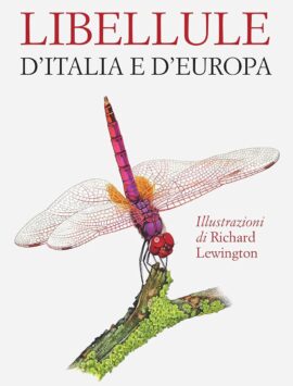 Libellule d'Italia e d'Europa