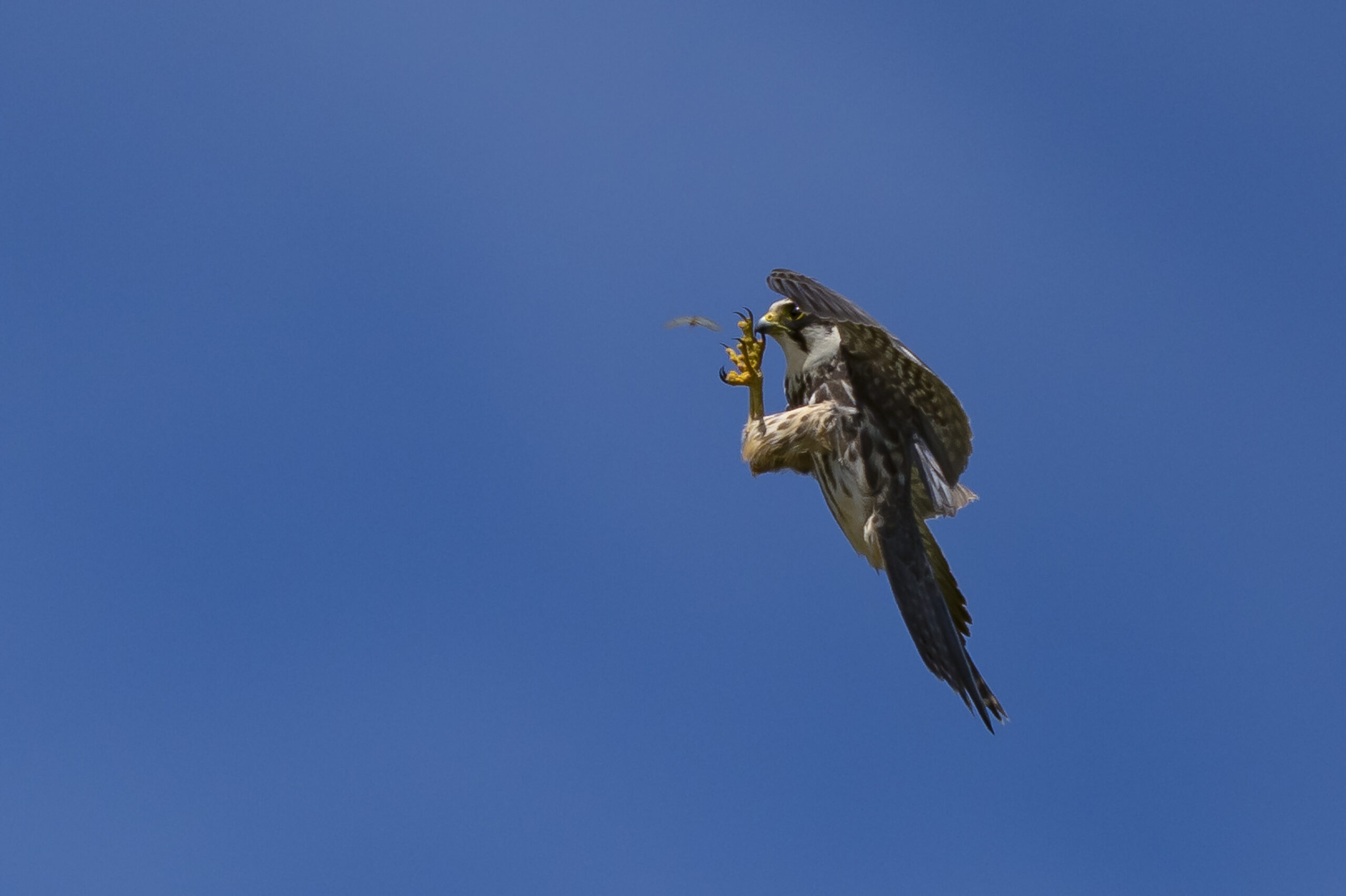 Foto di: Bruno Zahnd