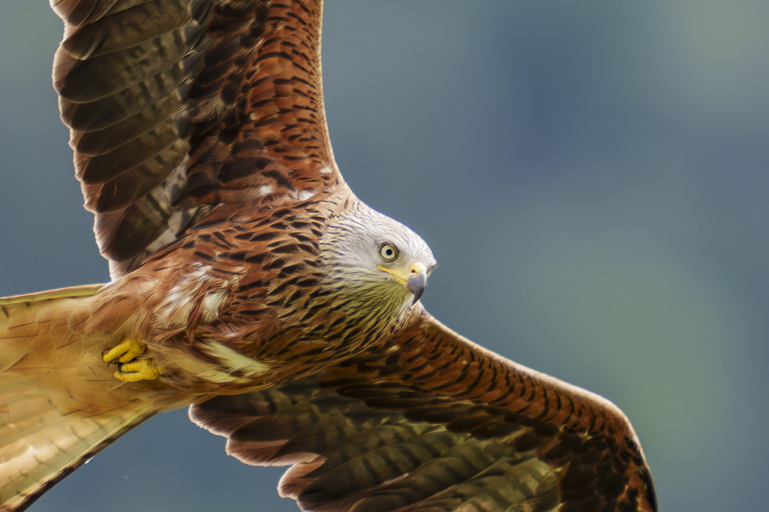 Foto di: Bruno Zahnd