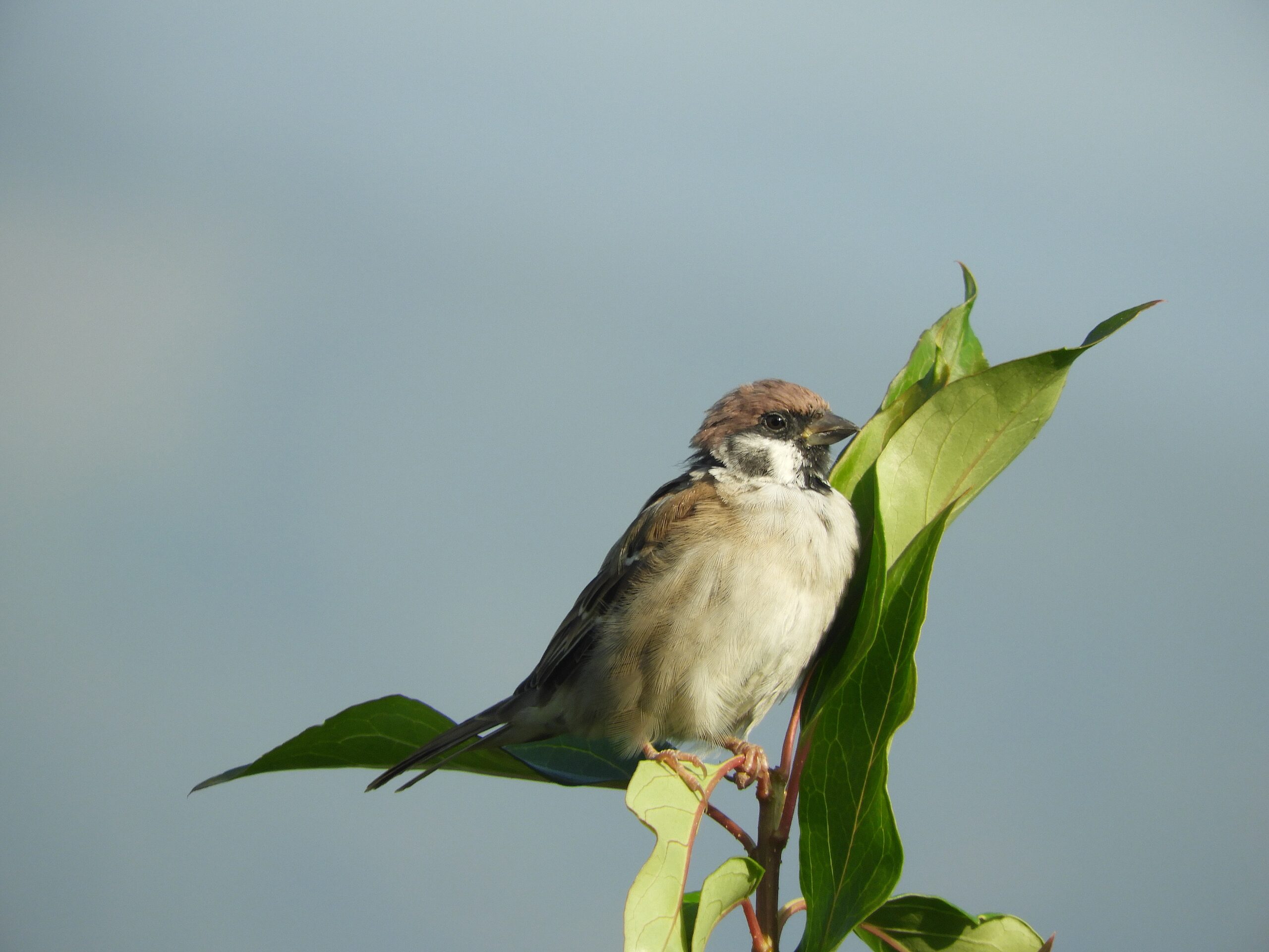 Foto di: Serena Poloni
