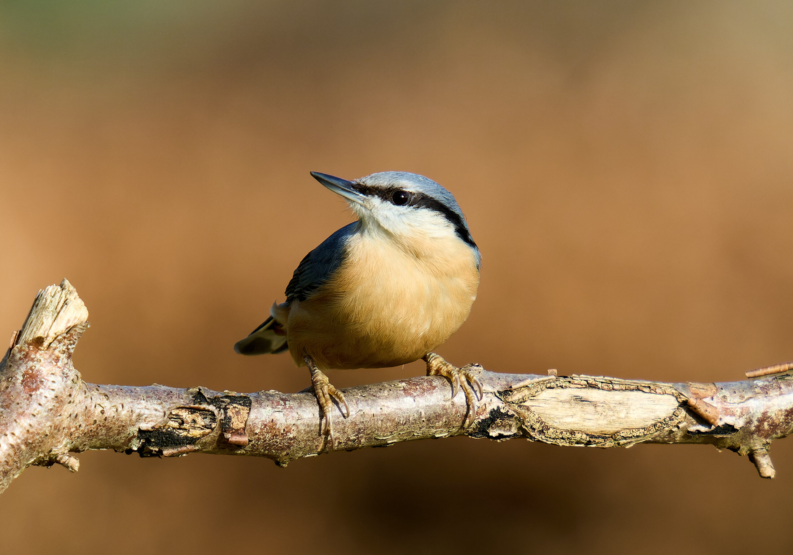 Foto di: Olaf Homfeld