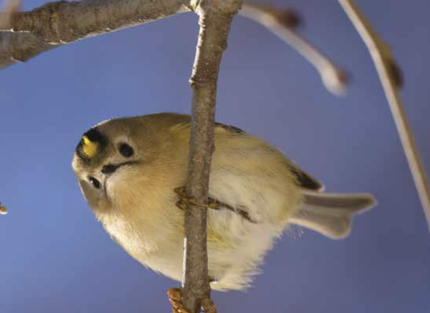 Foto di: Dolores De Maria