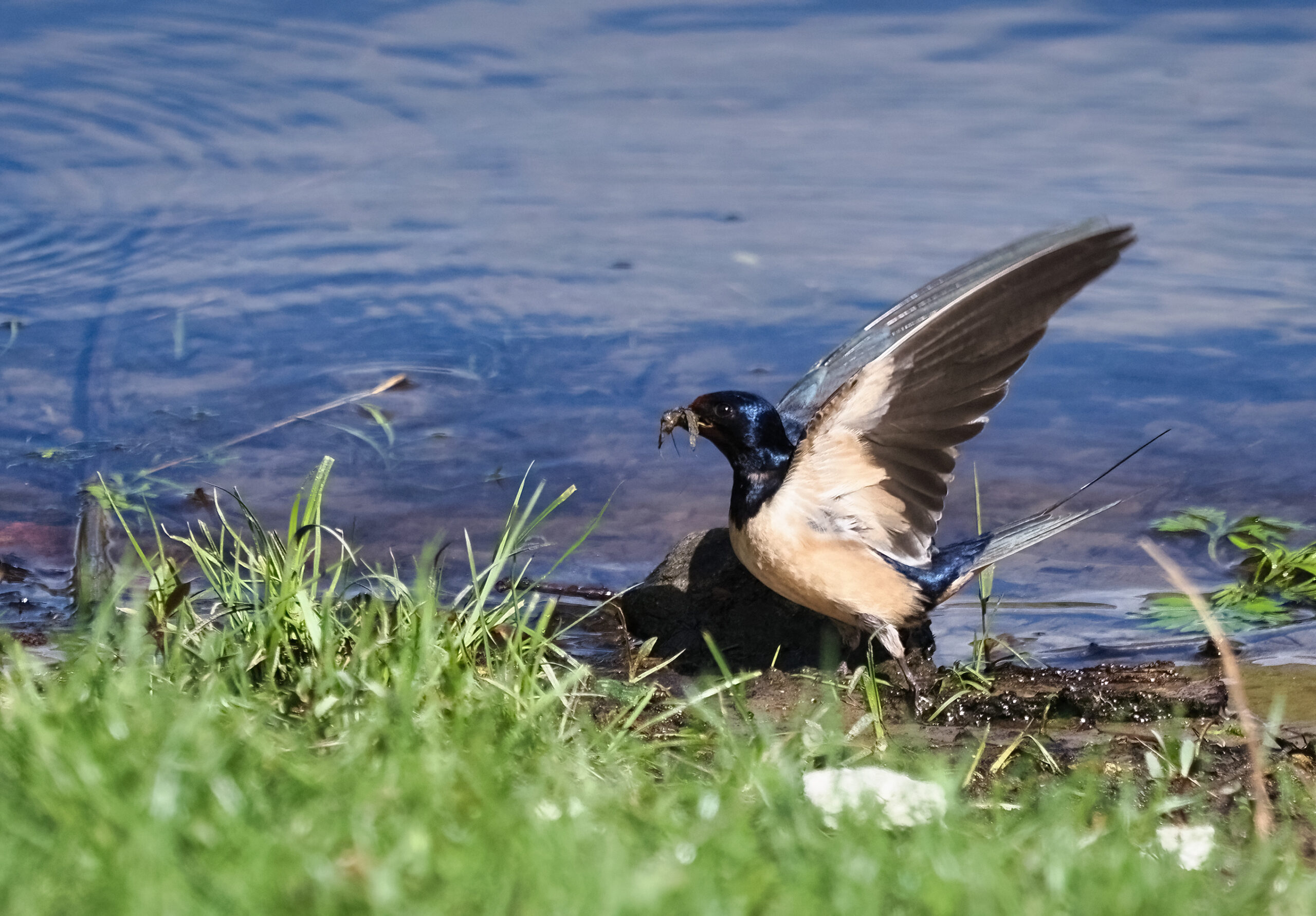 Foto di: Diana Sauer