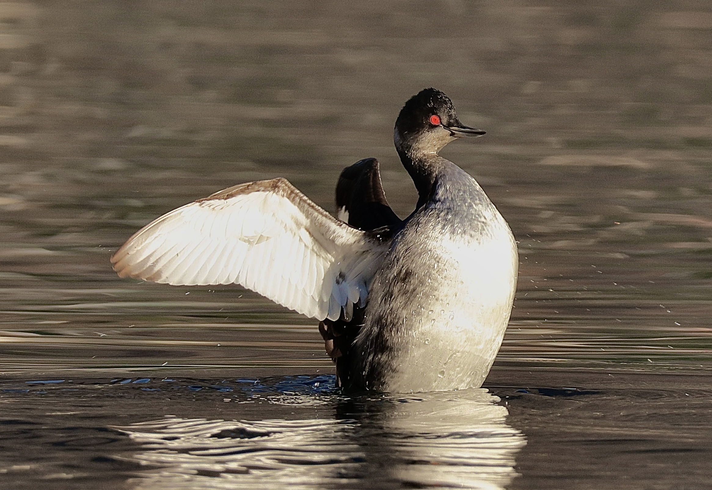 Foto di: Maria Andrea Bernasconi