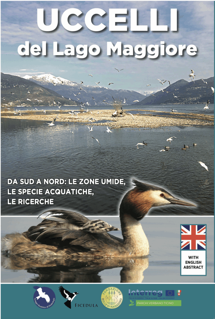 Uccelli del Lago Maggiore