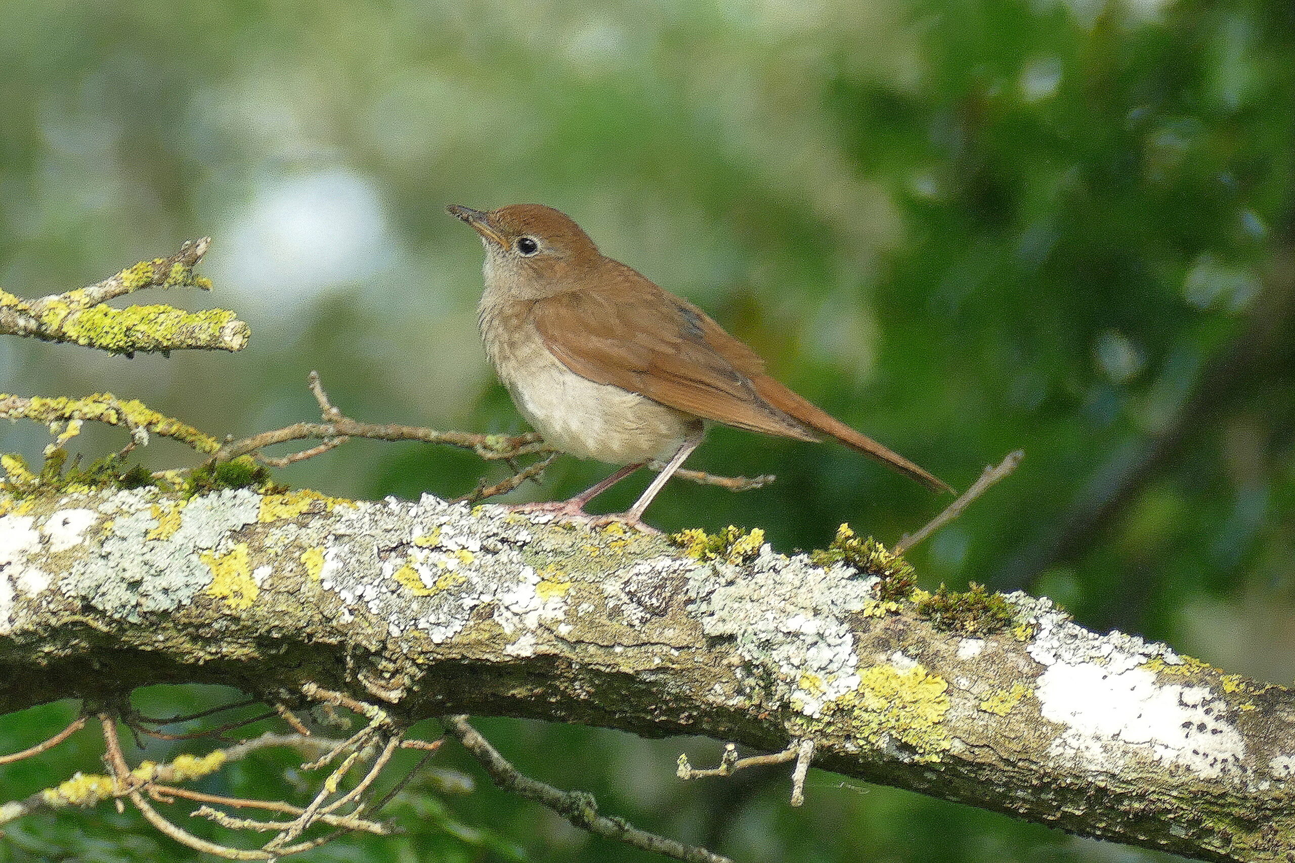 Foto di: Daisy Patritti