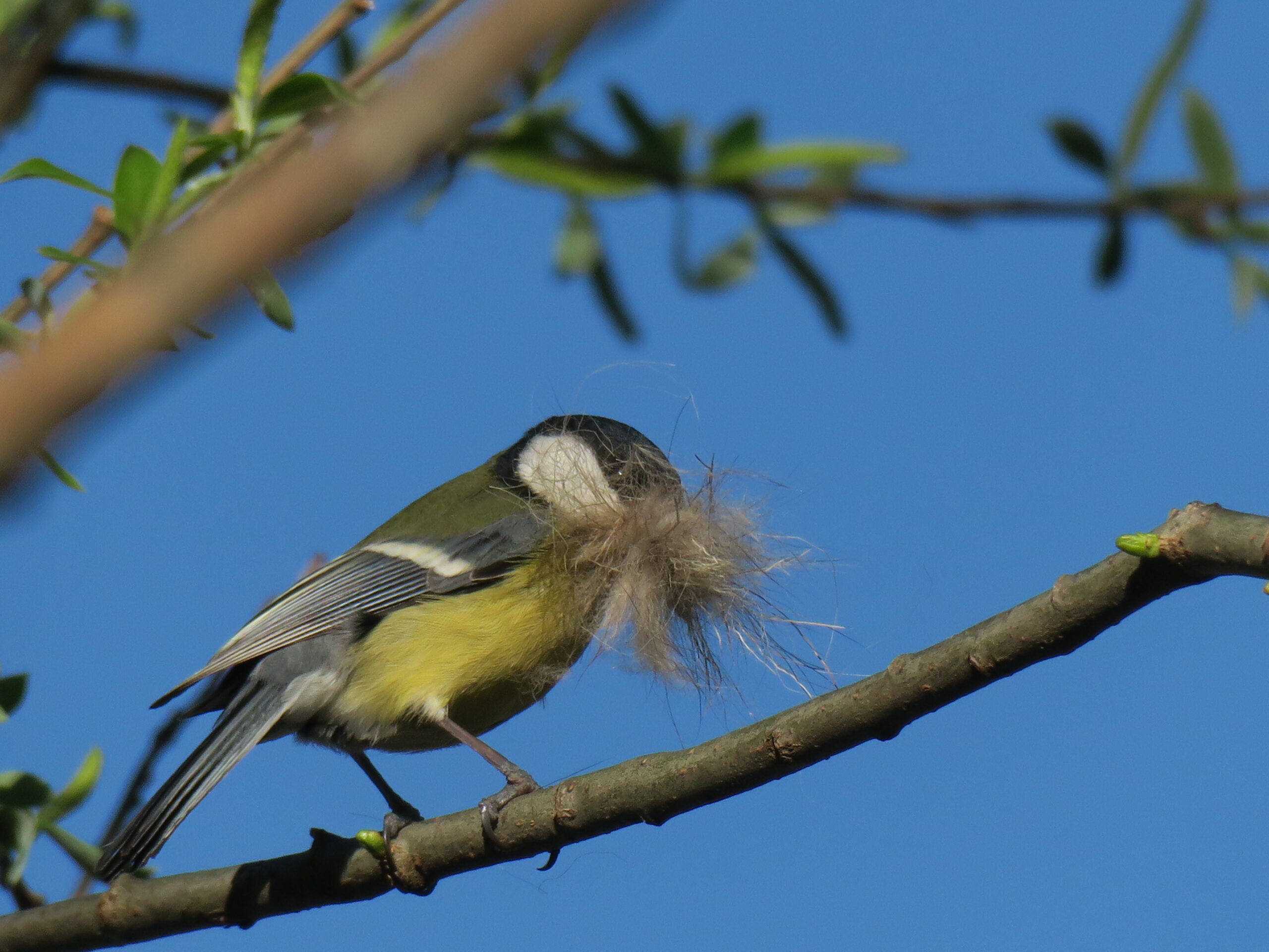 Foto di: Ilaria Quadranti