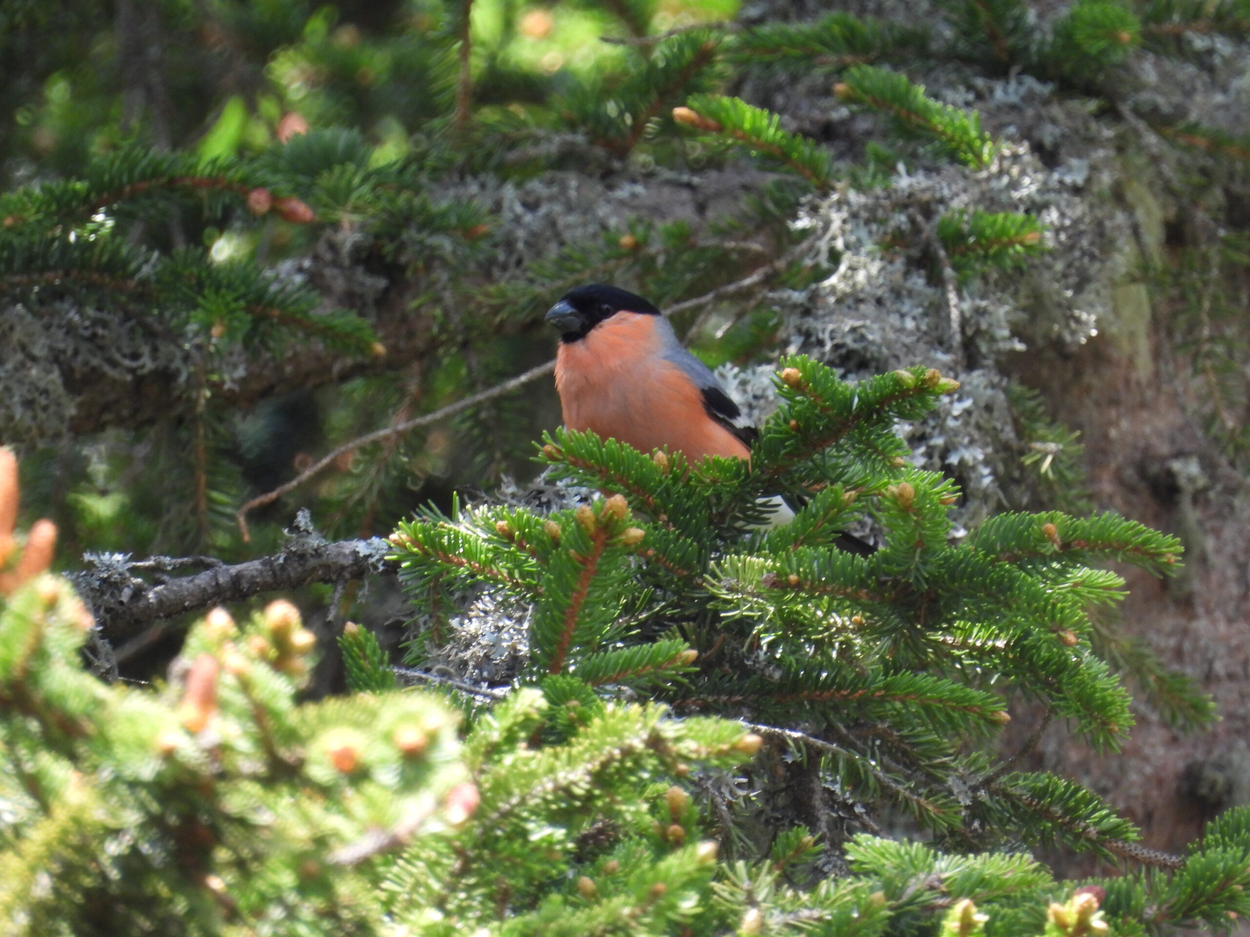 Foto di: Morena Stornetta