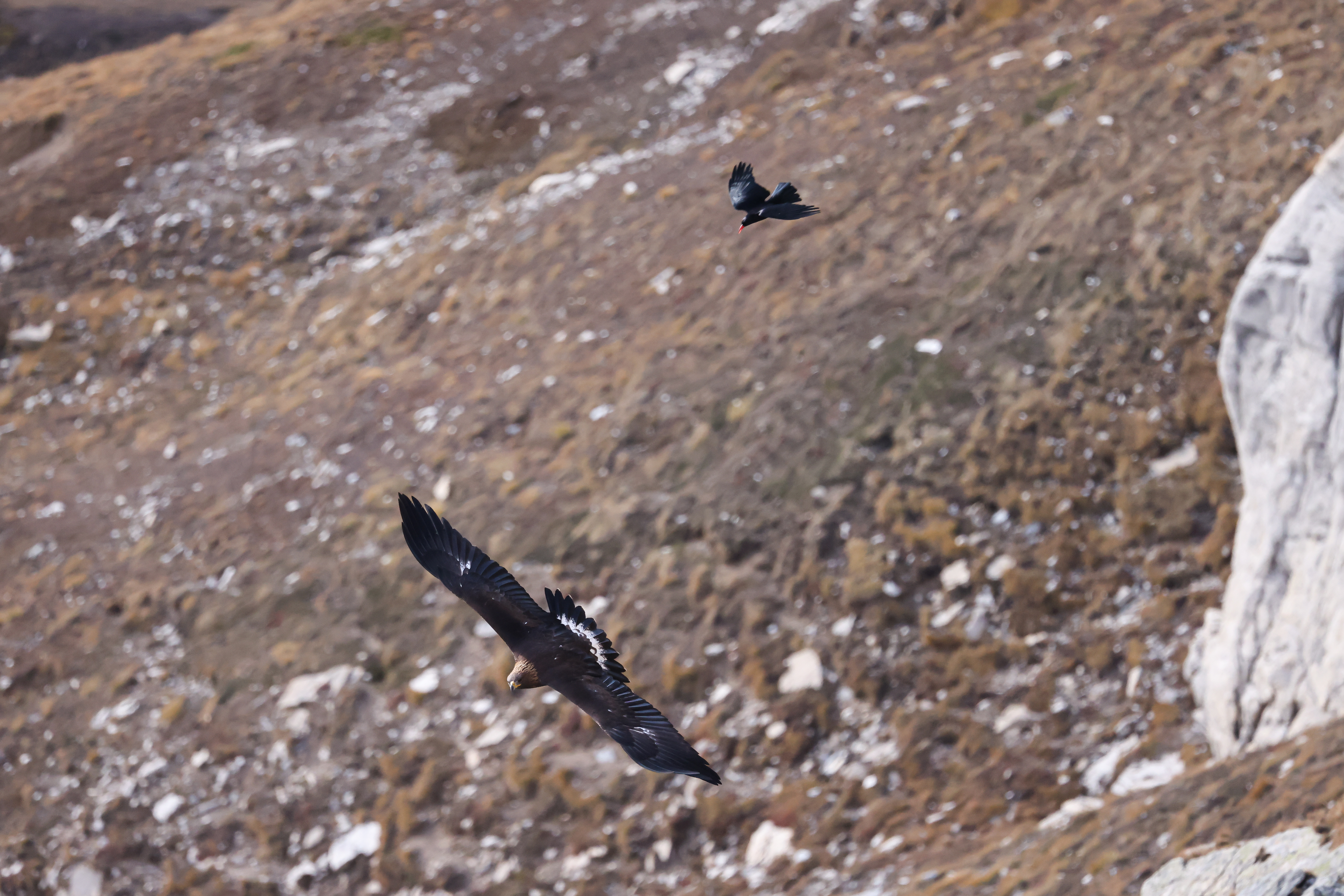 Foto di: Alessia Carrara