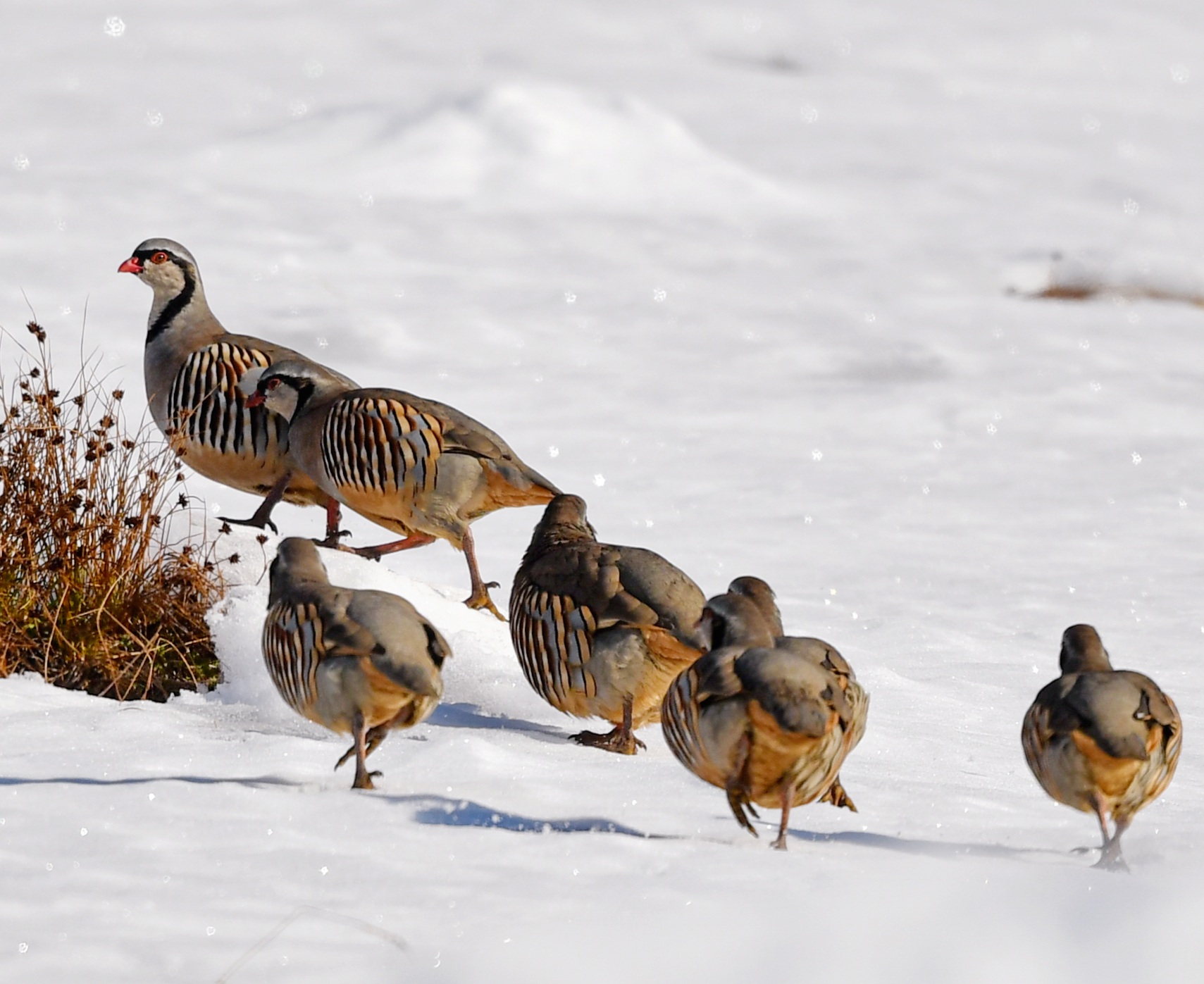 Foto di: Mickael Glavieux