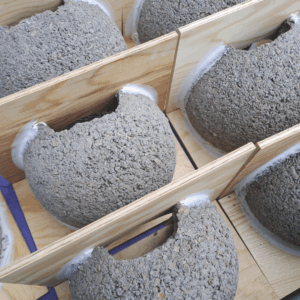 Nido per Balestruccio