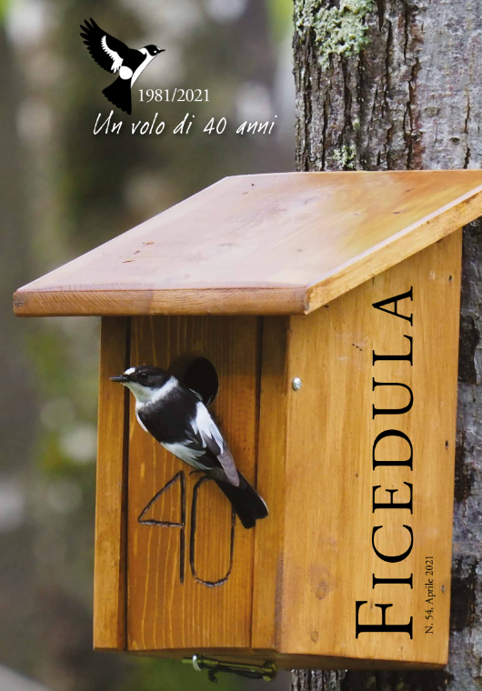 Rivista 2021 - Un volo di 40 anni