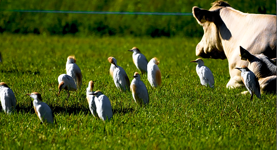 Foto di: Eli Mordasini