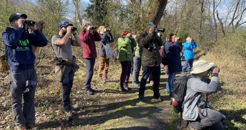 La nostra mission - Ficedula