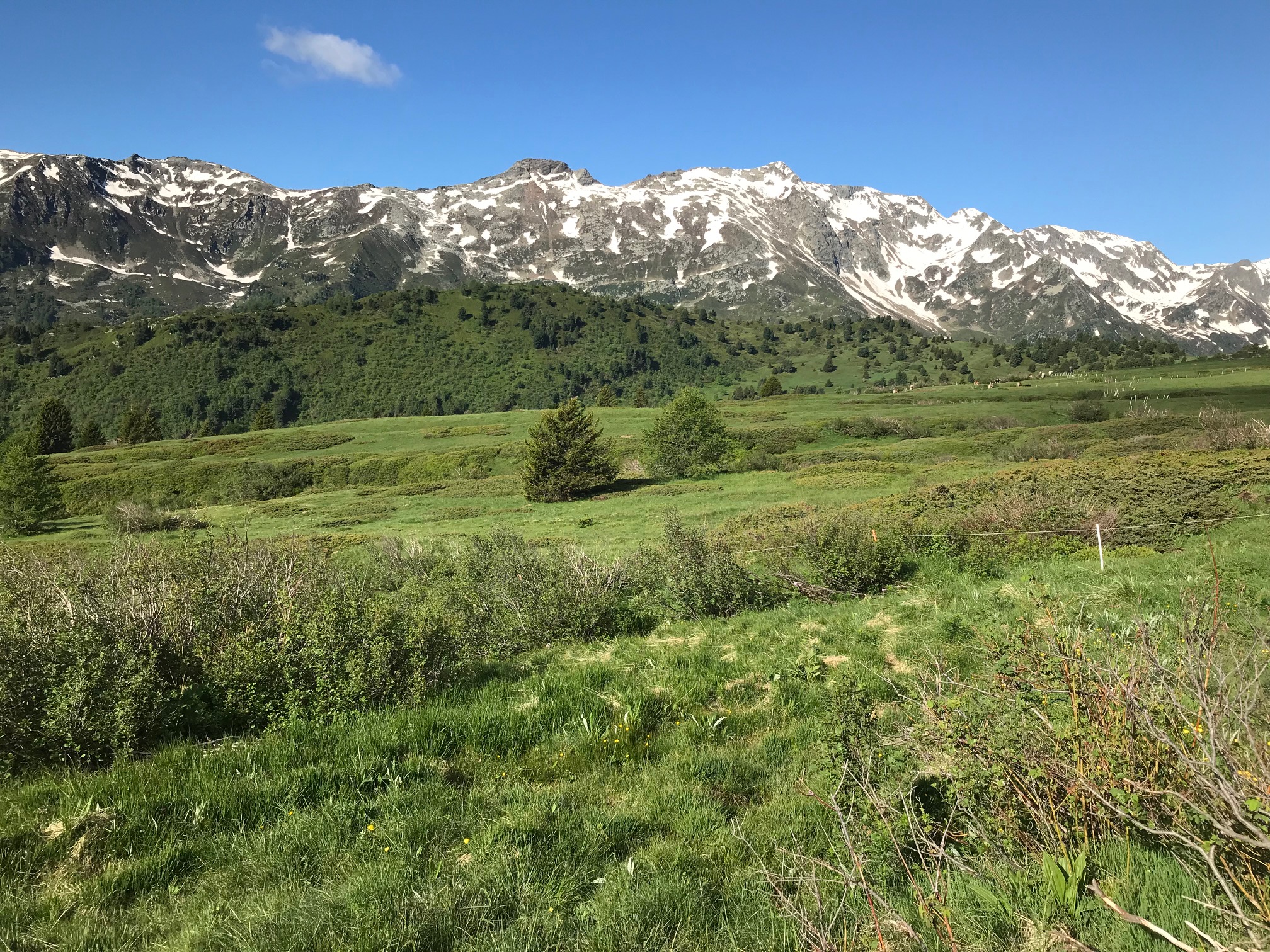 La nostra mission - Ficedula