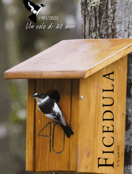 Copertina rivista - Un volo di 40 anni