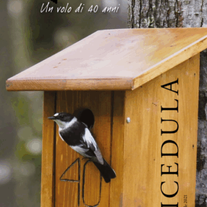 Copertina rivista - Un volo di 40 anni