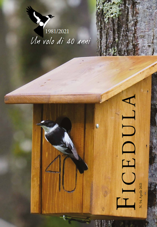 Un volo di 40 anni – Ficedula N. 54, 2021