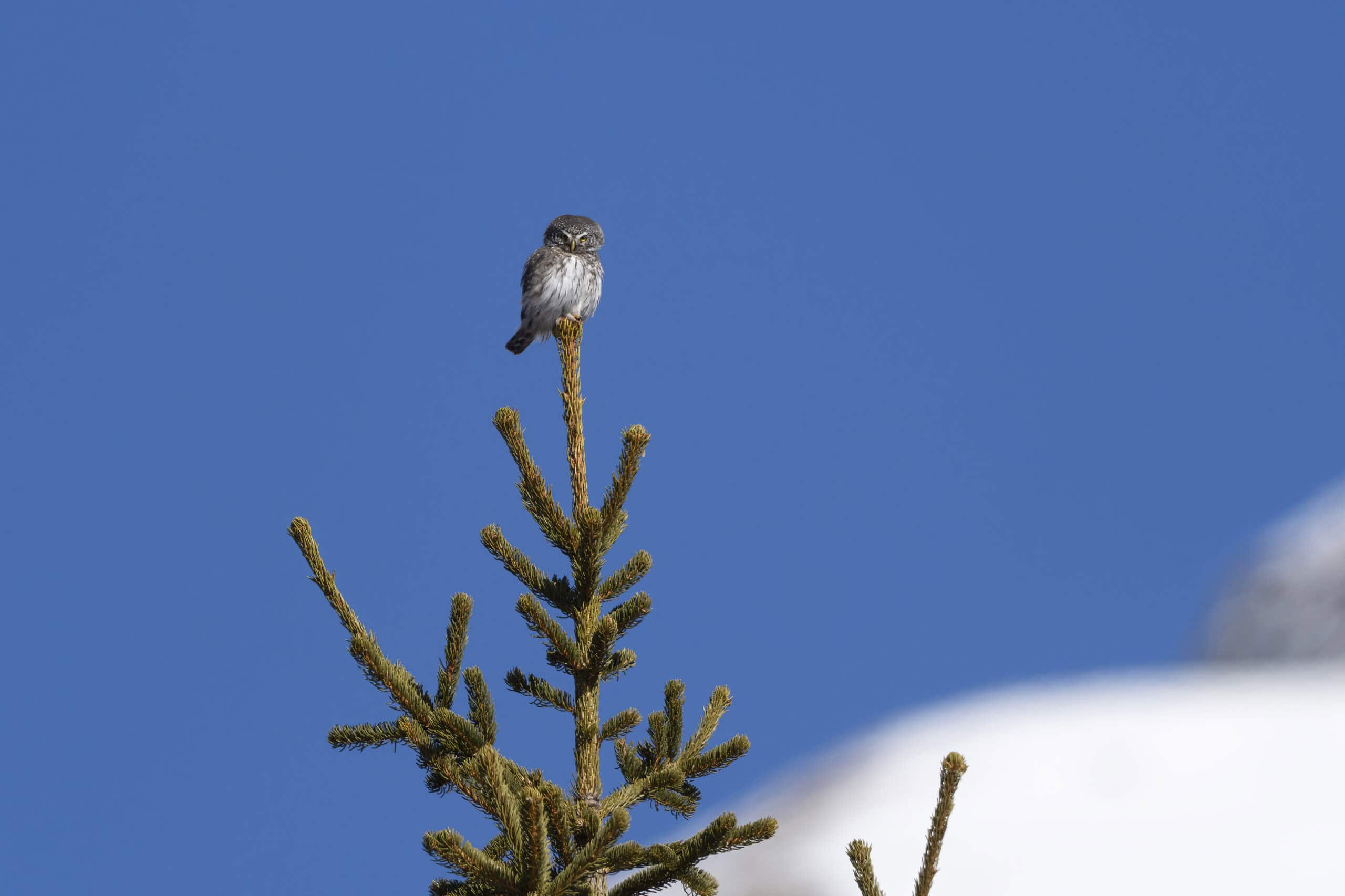 Foto di: Dolores De Maria