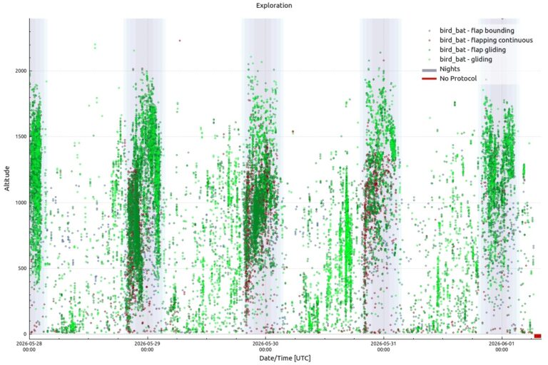 Bird Radar Project